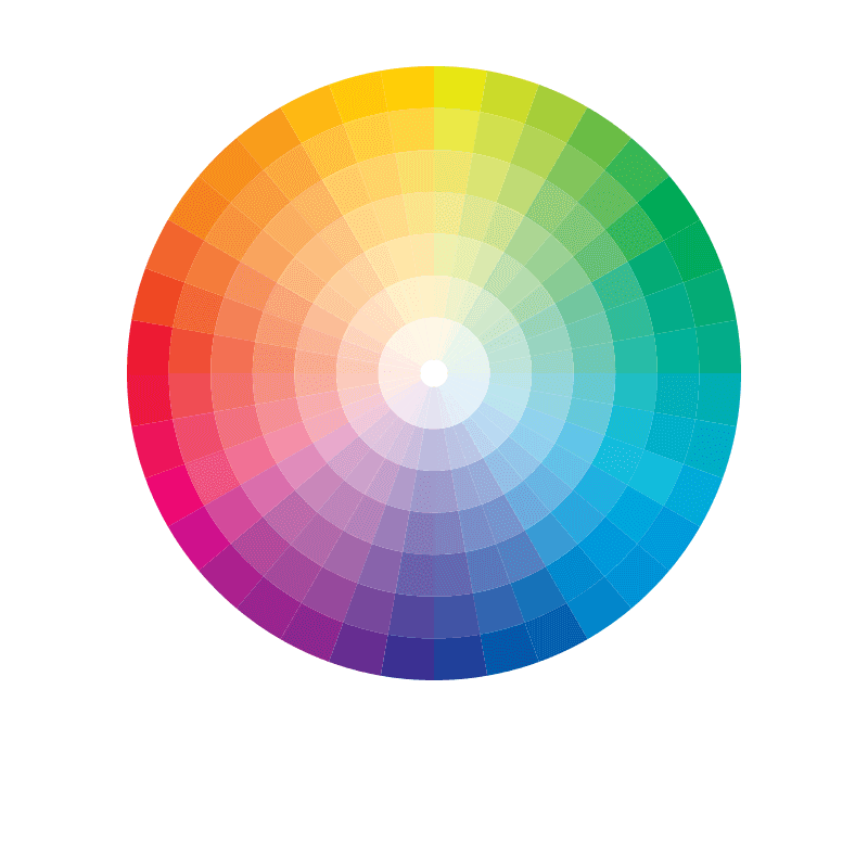 Event Pantone Matched Shells Event Pantone Matched Shells